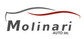 Logo Molinari Auto srl